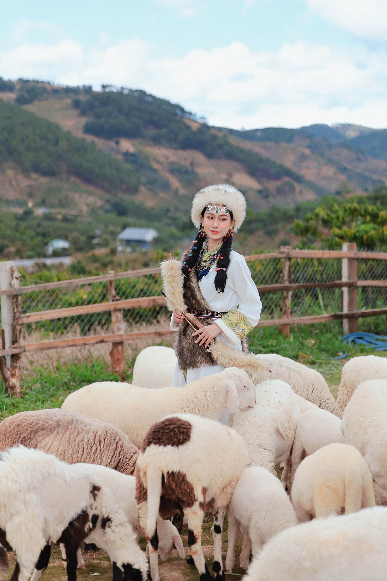Cô Gái Mông Cổ