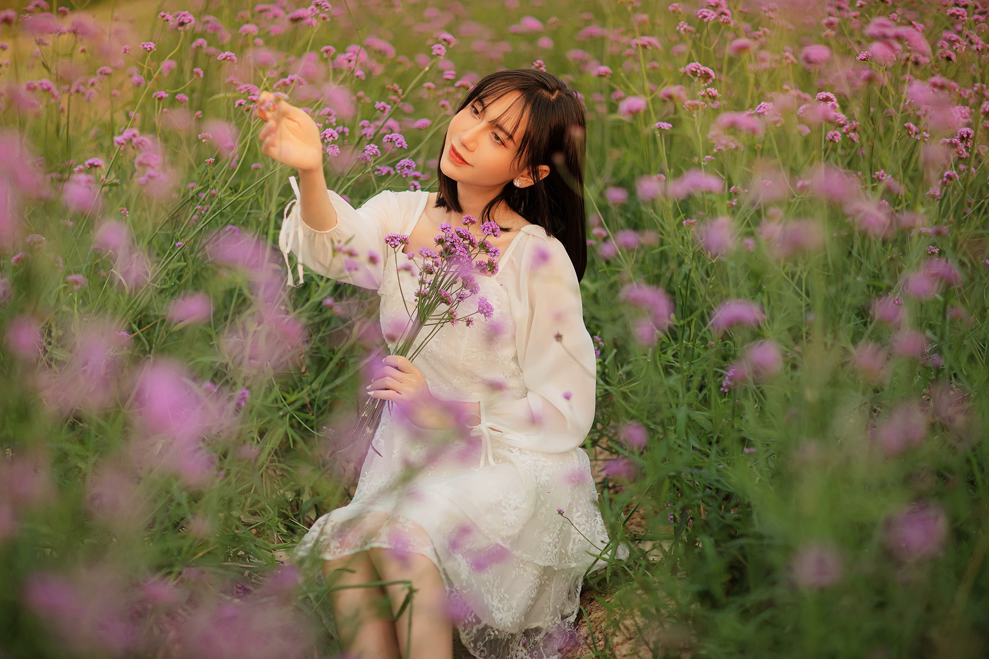 Hoàng Hôn Và Linh