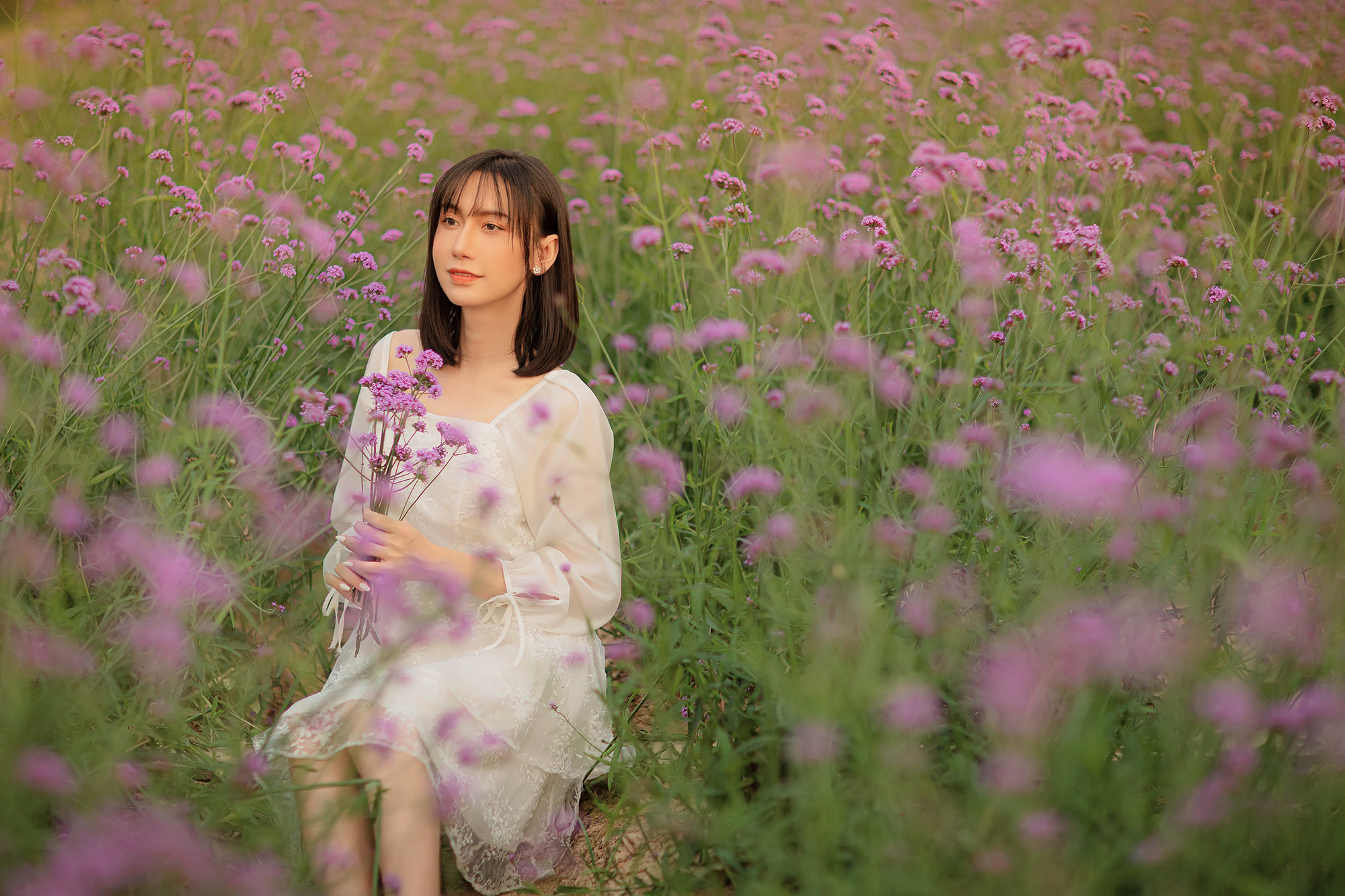 Hoàng Hôn Và Linh