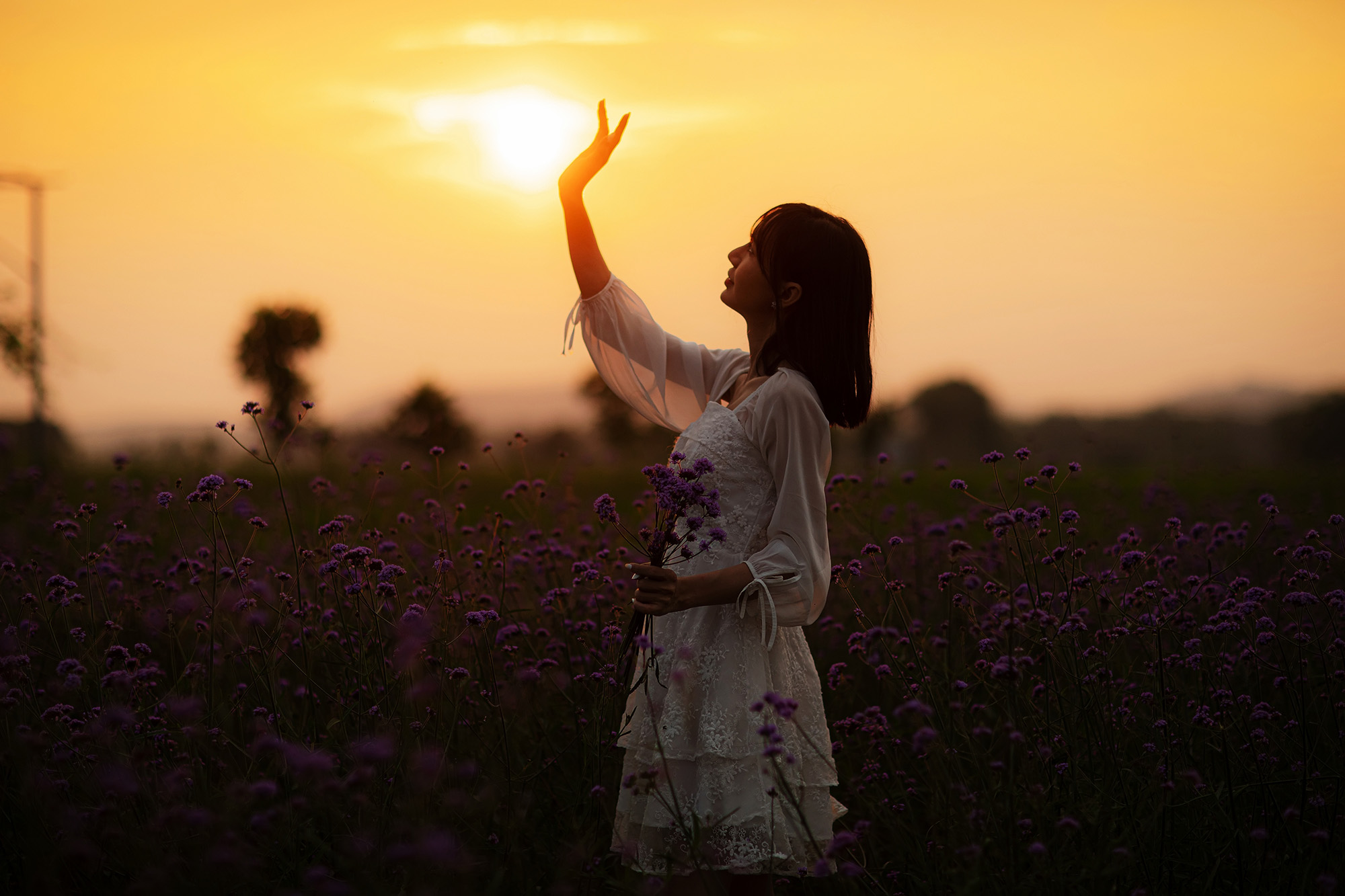 Hoàng Hôn Và Linh