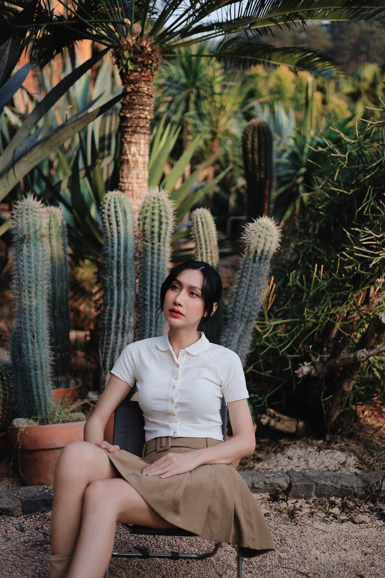 Trong Vườn Xương Rồng