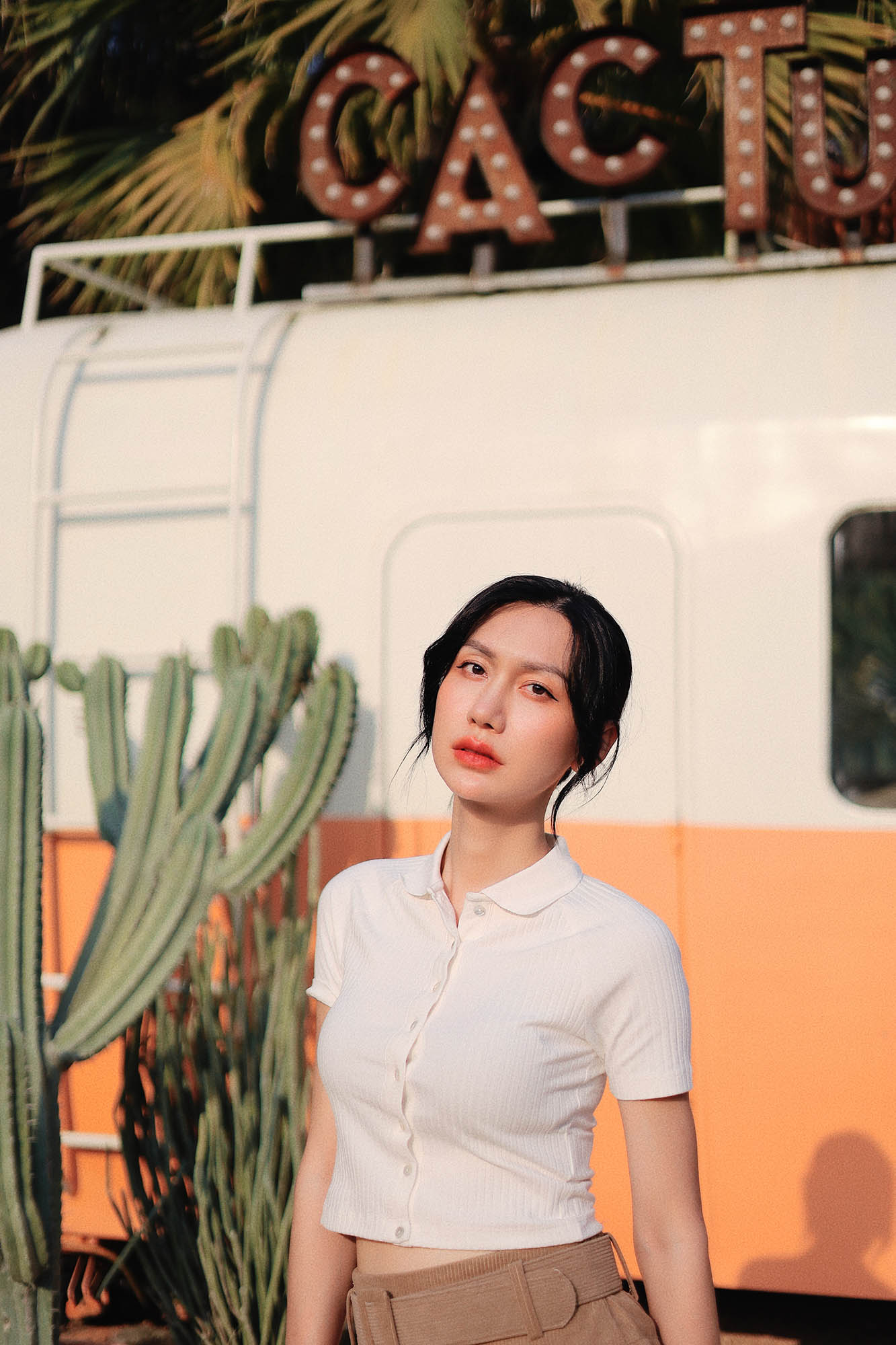 Trong Vườn Xương Rồng